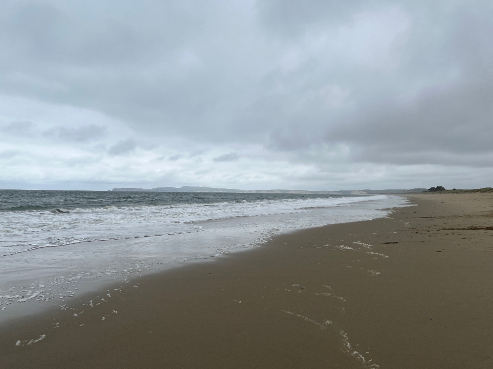 Photograph of the ocean washing on a sandy beach.