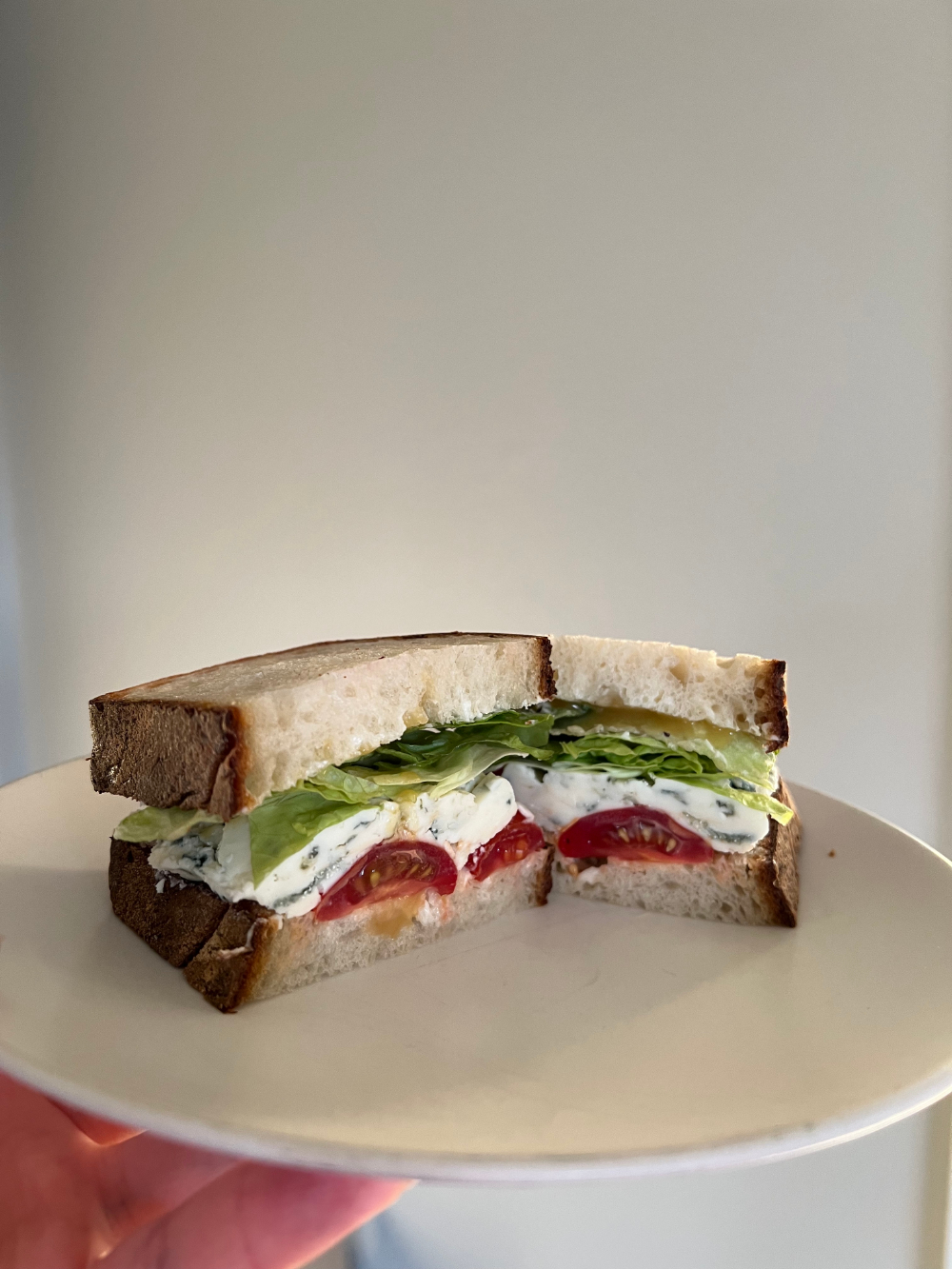 Photograph of K's sandwich, cut in half showing a cross-section of the interior: lettuce, thick slabs of blue cheese, halved little tomatoes.